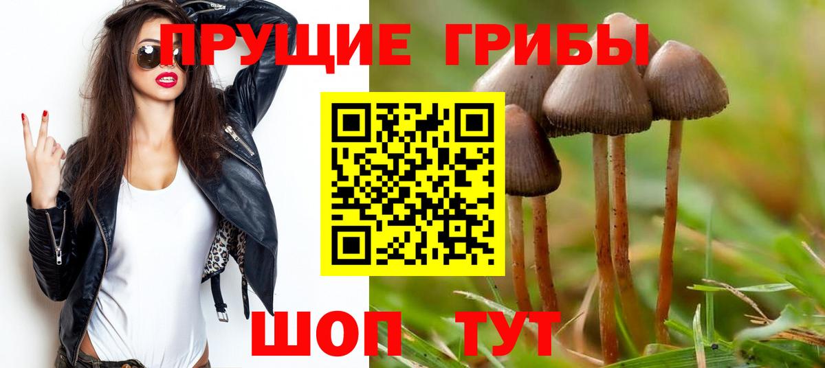 Псилоцибиновые грибы Psilocybe Зима